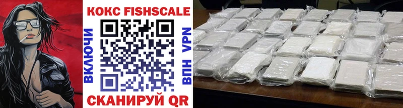Купить закладки  Прокопьевск  Cocaine Fish Scale 
